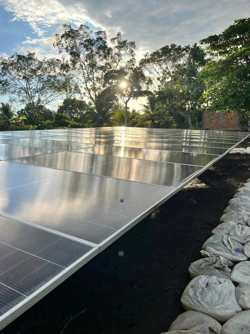 Paneles solares al atardecer con palmeras al fondo